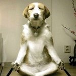 <b>xx</b>기술센터알바