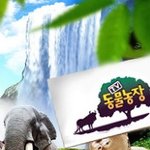 <b>sbs</b>  발발이를 키우시는 분을 찾습니다.
