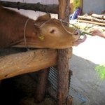 귀여미의 <b>여미</b>는 이런뜻이야 ㅋㅋㅋ