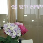 [한샘<b>티볼리</b>] 봄을 닮은신혼가구 한샘<b>티볼리</b>에 가다 ,인천 전시장