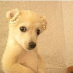 여자가괜찮아보일때8