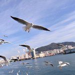 부산으로 떠나는 1박2일 여행"