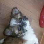 돈없이 기념일?우리처럼!♥