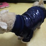 이모의 손으로 한땀~한땀~만든 옷을 공개합니다