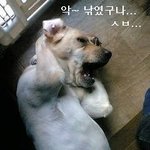 내일 시크릿 <b>가든</b> 하니깐.............