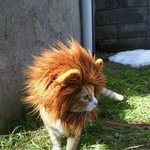 2011년에는 <b>농촌</b>이 확 바뀐다는데... (+귀염짤방)