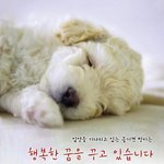대학생의 도전! 작은 참여가 놀라운 결과를