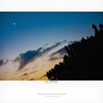 [간절곶] #_2011.1.1 간절곶 <b>신년</b> 해맞이