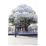 신나고 즐거운 겨울여행!! <b>동심</b>으로의 초대~ 에버랜드 스노우페스티벌...