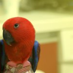 아주 특별한 동거♡ - 2편