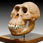 ★[사진有]<b>돌출</b>형입으로 사는 삶이란★