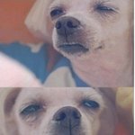 a형남자파헤치기