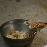 ★실화★사진有★ 내가  고양이 밥 뺏어먹던 그 시절