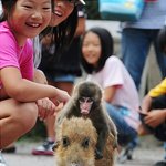 띠동갑 남동생과 사는 이야기 1