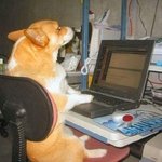 인터넷쇼핑을 자꾸하니 다크<b>써클</b>이 내려와 ㅠㅠ 어떻게하죠 ㅠㅠ