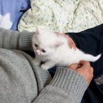 귀요미 우리쩜장님ㅋㅋㅋㅋ