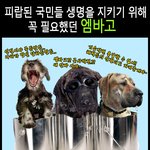 탑으로 띄우면 돼! 난 딴것 신경안써