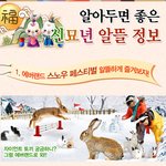 신묘년 <b>새해</b>의 알뜰살뜰 정보모음