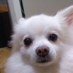 여자가"안"괜찮아보일때3