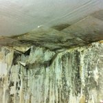 집 사진 좀 봐주세요