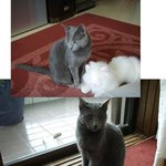 칸쵸에 <b>이은</b>..