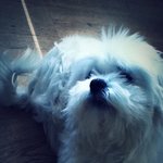 짝사랑할때나오는몹쓸증상들