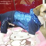 이젠 <b>개마</b>져..