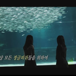 정글피쉬2 봤어 님들