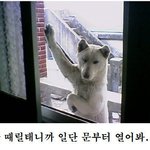 애기쨔응 <b>식상</b>해서 커피향내나는걸로바꿈 ㅋㅋ
