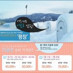 대관령눈꽃축제 <b>이색</b>잠자리 이글루에서 진짜 에스키모 되기