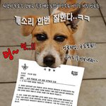 언론사들은 보지 <b>말개</b>!!!!