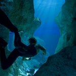 떡잎부터 남다른 명감독 제임스 카메론의 2011년 드림프로젝트!...