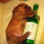 퇴근 해야죠~