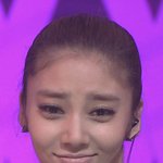 3대 지랄견중 코카스파니엘 키운 후기 써드림