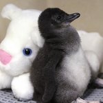 잠좀<b>자라</b> 이것들아ㅡㅡ