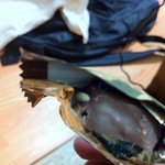 스니커즈 쵸코렛 먹지 맙<b>시다</b>. 애벌레를 끼워서 팔아요..사진 有