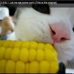 님들 부탁좀 들어<b>주</b>셈 <b>사진</b>有