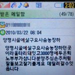 [서명해주세요!] 손주같이 돌봐준다더니...애견분양사기-번식과 도살로...