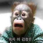 <b>귀요</b>미녀~