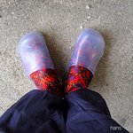 <b>올빼미</b>의 축구화를 공개합니다.