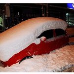 초밥~  백 <b>마구</b>로~