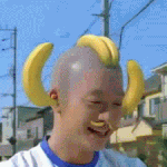 3대 지랄견중 코카스파니엘 키운 후기 4탄