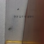 우리집 안방은 냉장고?