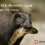 동물농장 모피의 진실 ★동물보호 배너★를 함께 달아주세요!