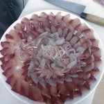 부산 민락어민활어직판장을 소개합니다![사진有]