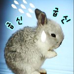 ☆☆☆20대 이상 수원 노가리 풀어<b>보세</b>[2/1]☆☆☆