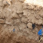 개념없는인간들,