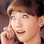 개<b>시크</b>형