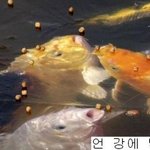 <b>새글</b>이 안뜨는데
