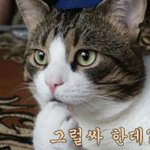 <b>쏘울</b>시스터  - 밥은먹고다니니?